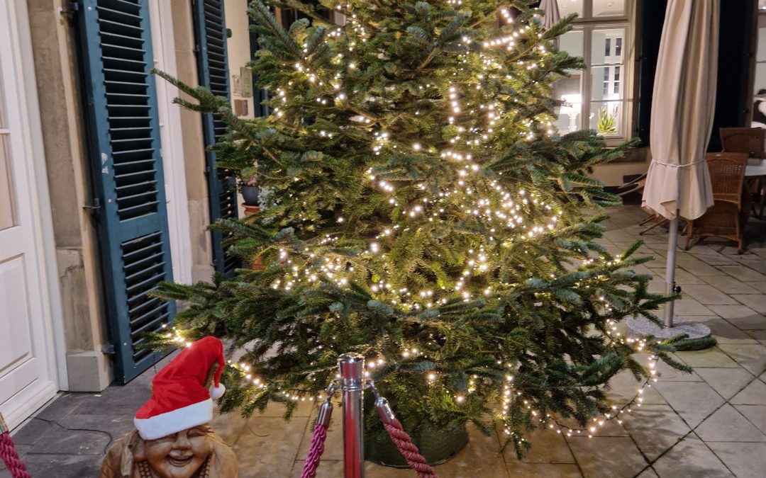 Vielen Dank und fröhliche Weihnachten!